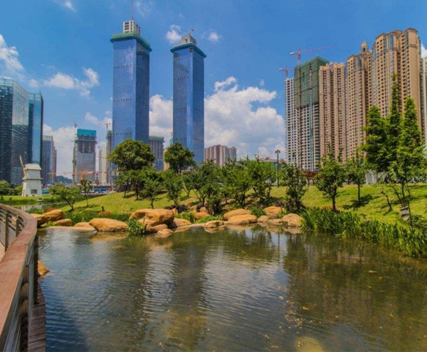 天博（中国）